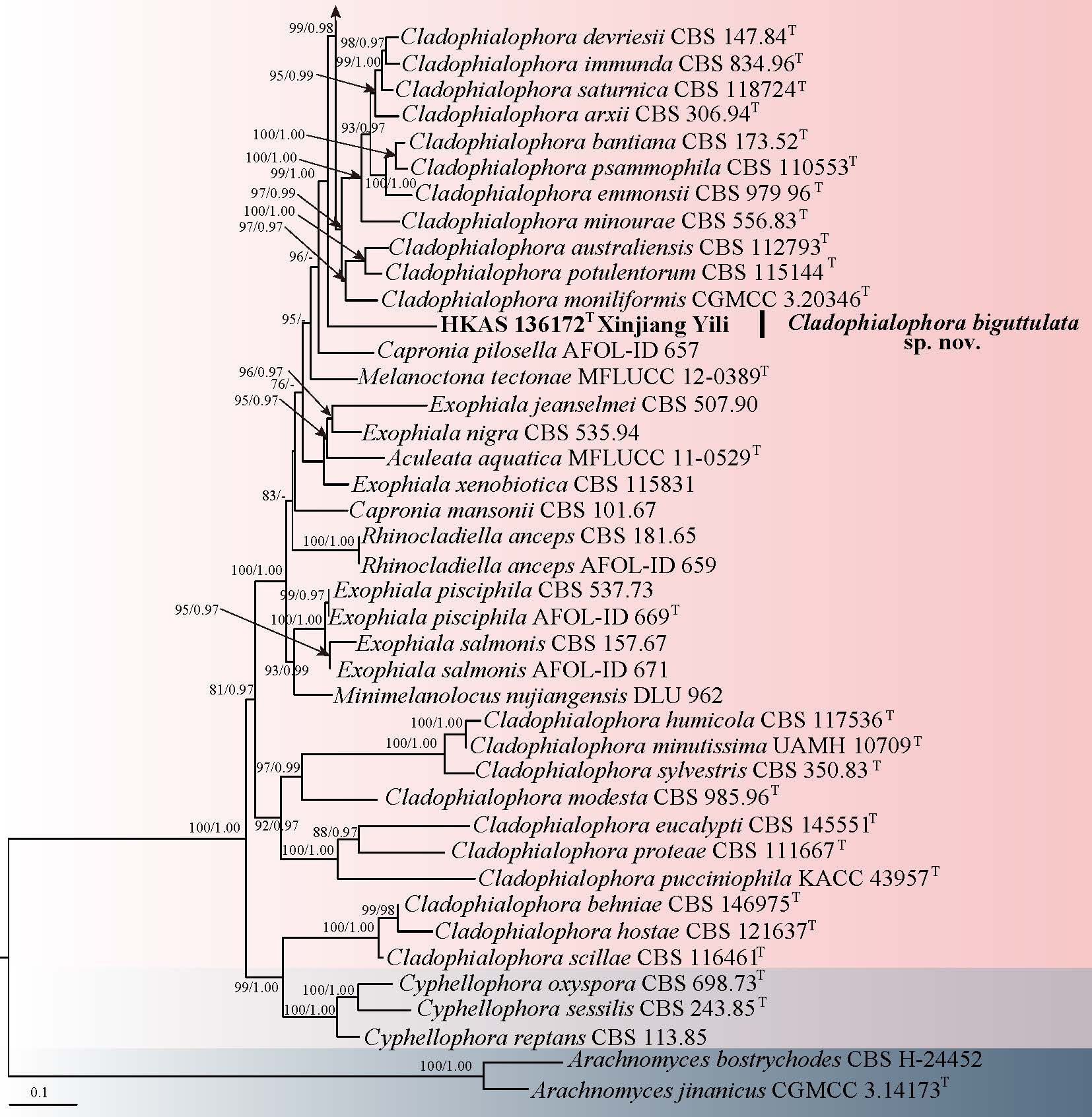 Figure 22
